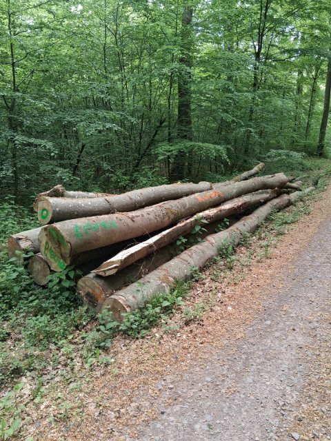 Foto der Holzhandlung Winkler
