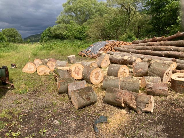 Foto der Holzhandlung Winkler